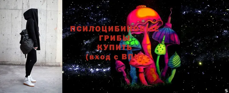 Псилоцибиновые грибы мицелий  Корсаков 